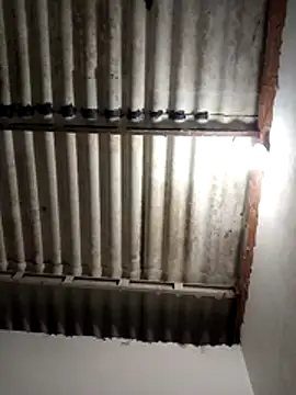 LoonyIdiot online show from April 8, 2026, 3:17 am