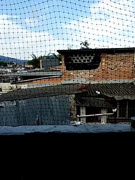 Niick01  online show from November 9, 2025, 8:40 pm