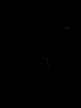 Snapshot of Codybugs0206 chatting on November 22, 2025, 11:59 pm Codybugs0206 online show from November 22, 2025, 11:59 pm