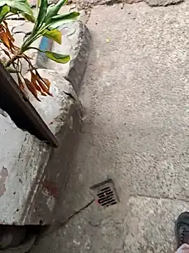 sethgamble000777 online show from December 20, 2025, 9:05 am