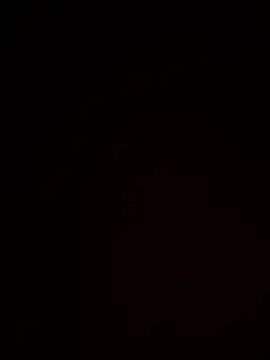 Lincolndraft online show from April 20, 2026, 8:17 am