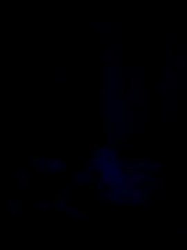 vitor777  online show from April 7, 2026, 6:03 am