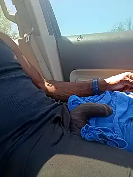 Snapshot of birdg chatting on April 16, 2026, 4:30 pm birdg online show from April 16, 2026, 4:30 pm