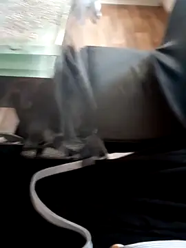 Snapshot of Bigdick420anal chatting on March 20, 2025, 4:20 pm Bigdick420anal online show from March 20, 2025, 4:20 pm