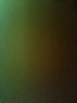 PPP-30 online show from February 20, 2025, 1:40 pm