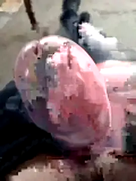 mar4oto1 online show from March 14, 2026, 11:37 am