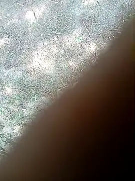 bairobunde online show from March 21, 2026, 5:45 am