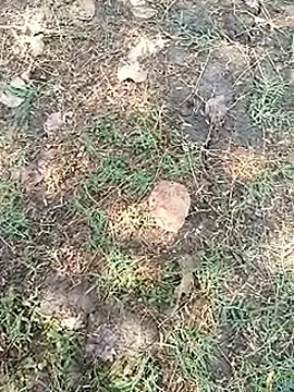 bairobunde online show from April 5, 2026, 8:11 am