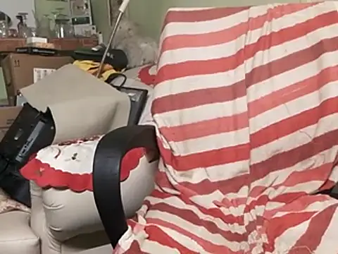 calme odl1 online show from February 9, 2025, 3:34 pm