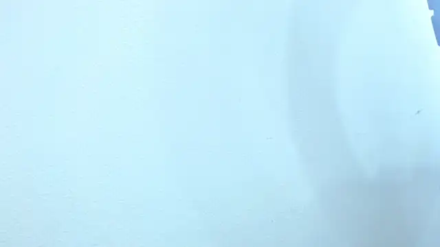 Snapshot of sebastian_colle chatting on February 26, 2025, 12:03 pm sebastian colle online show from February 26, 2025, 12:03 pm