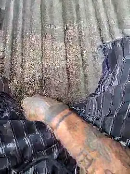 vertin07 online show from November 14, 2025, 5:33 pm