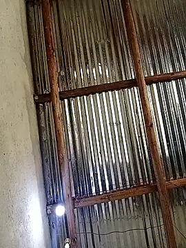 lilpip online show from October 18, 2025, 11:44 am