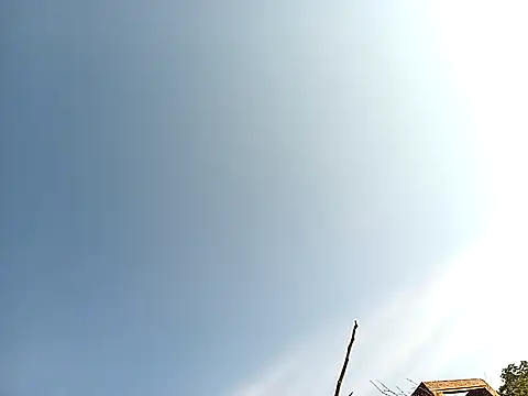 lilpip online show from November 27, 2025, 4:03 am