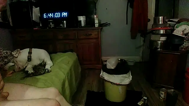 Snapshot of PornStro921 chatting on June 30, 2026, 10:44 pm PornStro921 online show from June 30, 2026, 10:44 pm