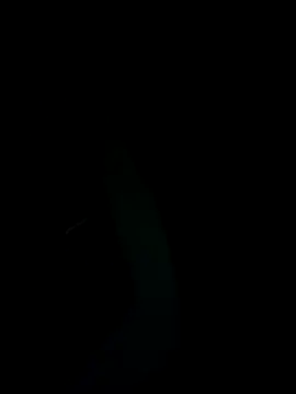 SunnY-0124xh online show from February 25, 2025, 5:47 pm