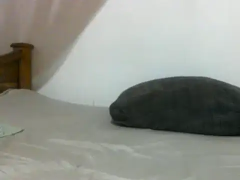 sissydinu online show from February 28, 2025, 6:10 am