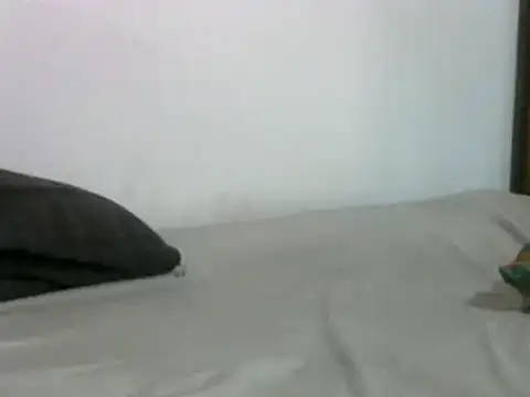 sissydinu online show from March 17, 2025, 5:12 am