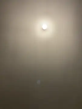 1Zoey101 online show from April 2, 2026, 3:42 pm