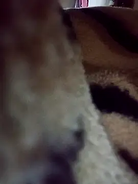 Snapshot of karabokau21 chatting on September 26, 2025, 10:25 pm karabokau21 online show from September 26, 2025, 10:25 pm