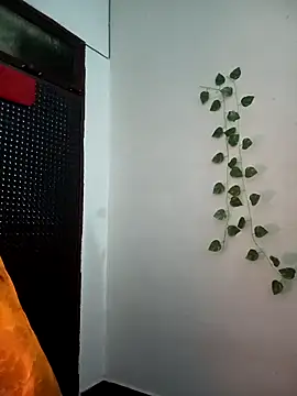 Neha-Bhabhi-Rasily online show from November 27, 2025, 5:20 am