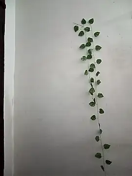 Neha-Bhabhi-Rasily online show from March 24, 2026, 3:55 am