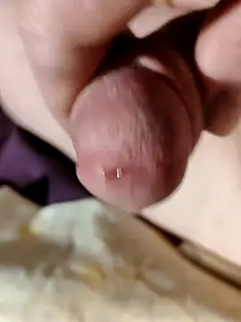 Snapshot of --Serhei-- chatting on February 6, 2026, 4:54 pm --Serhei-- online show from February 6, 2026, 4:54 pm