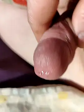 Snapshot of --Serhei-- chatting on February 7, 2026, 8:18 am --Serhei-- online show from February 7, 2026, 8:18 am