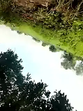 himvilohi08 online show from October 4, 2025, 5:27 am