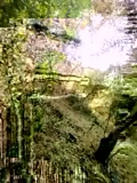 himvilohi08 online show from March 16, 2026, 3:23 am