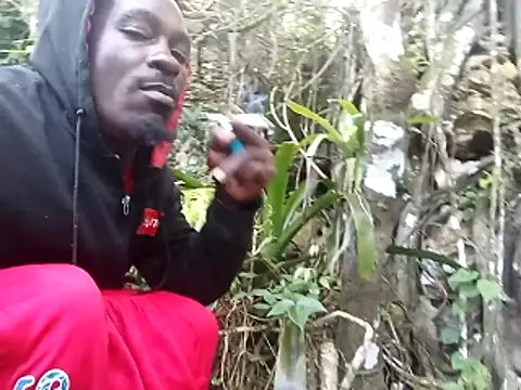 rasvinchi online show from March 31, 2026, 12:05 pm