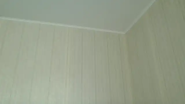  Black-Panther  online show from April 25, 2026, 7:55 am