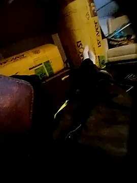 Snapshot of dav74girls chatting on February 22, 2026, 12:23 am dav74girls online show from February 22, 2026, 12:23 am