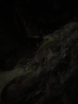 aa520uv online show from February 5, 2026, 12:43 pm