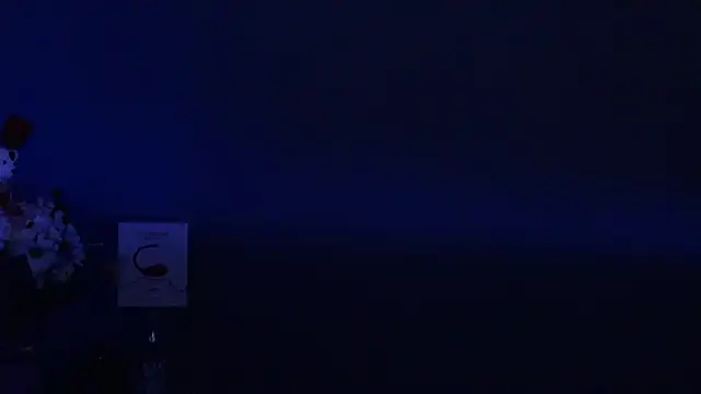 Amesthyst destiny online show from March 22, 2025, 3:20 am