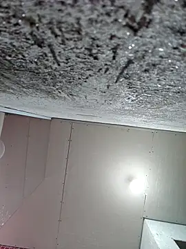 Snapshot of membro_destruidor chatting on March 31, 2026, 5:13 pm membro destruidor online show from March 31, 2026, 5:13 pm