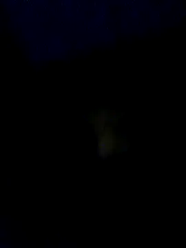 baby25cm online show from February 13, 2026, 6:15 pm