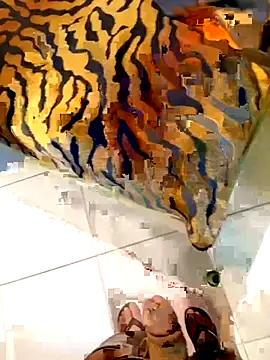 Dglo0000 online show from February 28, 2026, 4:46 am