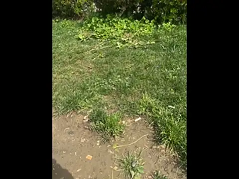 Snapshot of giyasbvnghkgkfk chatting on April 3, 2026, 10:35 am giyasbvnghkgkfk online show from April 3, 2026, 10:35 am