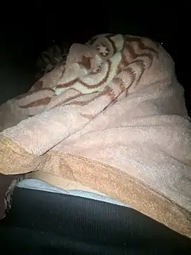 amirzinou online show from October 26, 2025, 10:58 pm