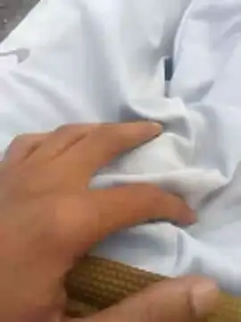 Snapshot of tiibcstuj chatting on February 14, 2026, 12:13 pm tiibcstuj online show from February 14, 2026, 12:13 pm