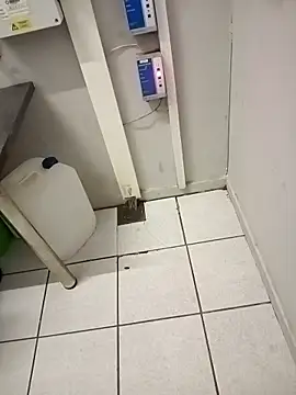 Snapshot of paptsimo chatting on November 25, 2025, 2:44 am paptsimo online show from November 25, 2025, 2:44 am