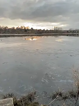 Snapshot of elliot_scott chatting on October 22, 2025, 10:37 am elliot scott online show from October 22, 2025, 10:37 am