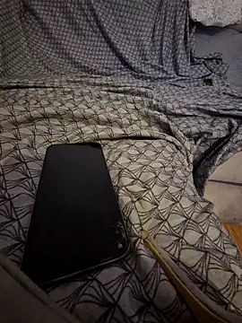 pikuslordpll online show from April 26, 2026, 4:21 am