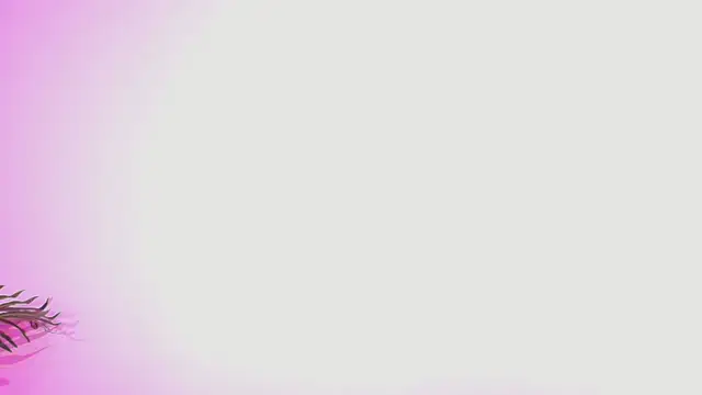 Lana ortega online show from July 5, 2026, 4:52 am