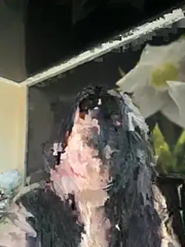 Liza Will online show from April 27, 2026, 7:39 am