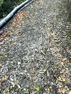 Snapshot of Mlkrrp chatting on October 10, 2025, 4:28 pm Mlkrrp online show from October 10, 2025, 4:28 pm