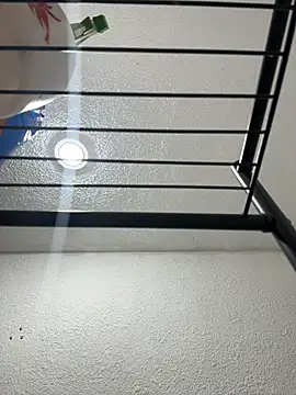 Snapshot of Nia_Desire chatting on December 17, 2025, 5:24 am Nia Desire online show from December 17, 2025, 5:24 am