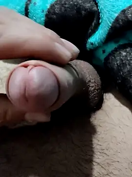 car9807 online show from March 13, 2026, 9:49 am