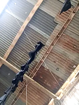 Davir2001 online show from March 14, 2026, 9:42 pm