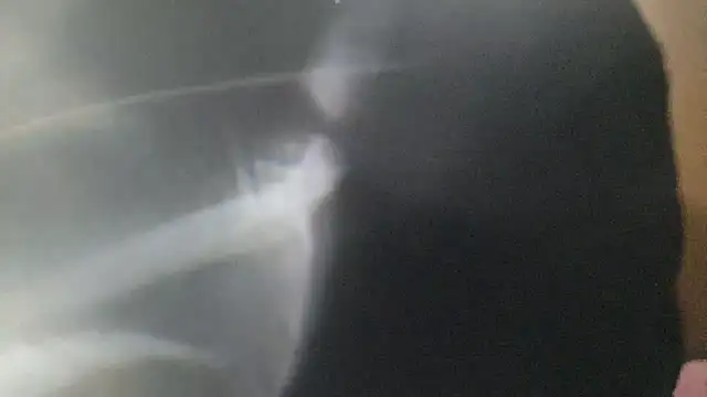 zzangzoa online show from April 6, 2026, 2:07 pm